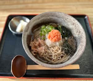 Ichimiann Bamboo Garden Delivery Menu | Order Online | 1618 