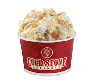 Blast freezer on sale cold stone