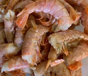 Seasonal Jumbo Shrimp, 1lb