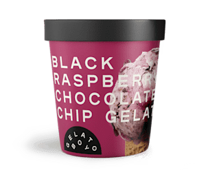 Black Raspberry Chocolate Chip Gelato