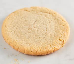 Sugar Cookie