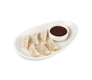 Chicken Dumplings