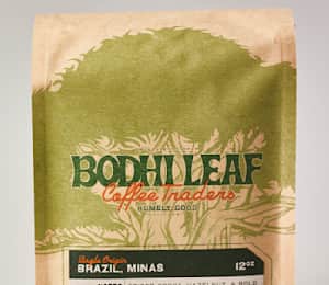 Hario Mizudashi Cold Brew Guide - Bodhi Leaf Coffee Traders