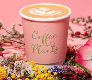 Coffee and Plants