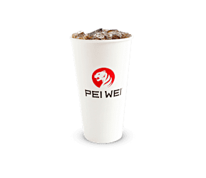 Regular Fountain Drink