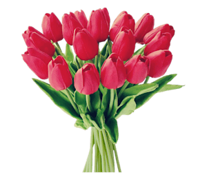 DIY raw material pipe cleaner tulips flower handcraft for birthday gif –  Duo Fashion