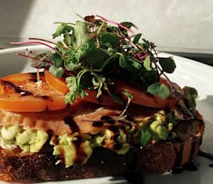Linger Cafe - Smashed Avo Toast is our forever fave! Who can never tire of  the classics? They're classic for a reason 😉