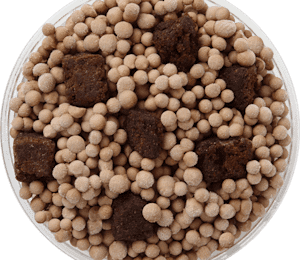 Dippin' Dots Debuts New Brownie Batter Ice Cream