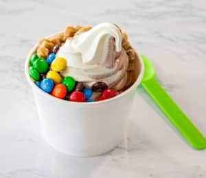 White Paper Frozen Yogurt / Ice Cream Bowl 12 oz