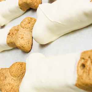 Rocky mountain chocolate factory dog treats 2025