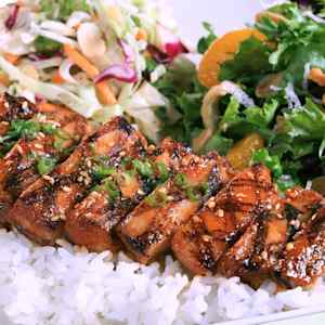 sansai japanese grill photos