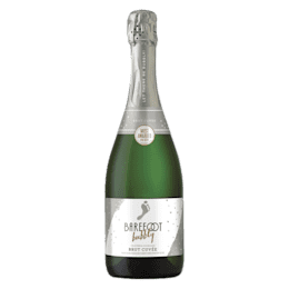 Nicolas Feuillatte Brut Champagne - Gary's Liquors, Boston, MA, Boston, MA