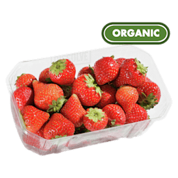 Organic Oregano Essential Oil 0.5oz (15ml) — Health Ranger Store