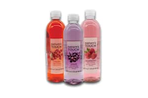 Nature's Touch Flavored Water, 20OZ