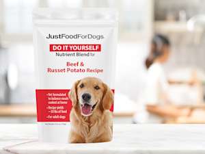 Justfoodfordogs chicago top