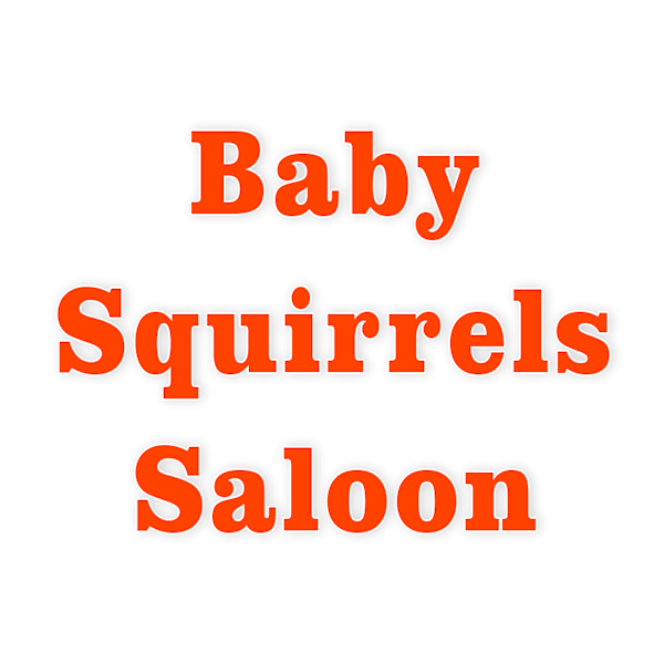 Baby Squirrel Saloon