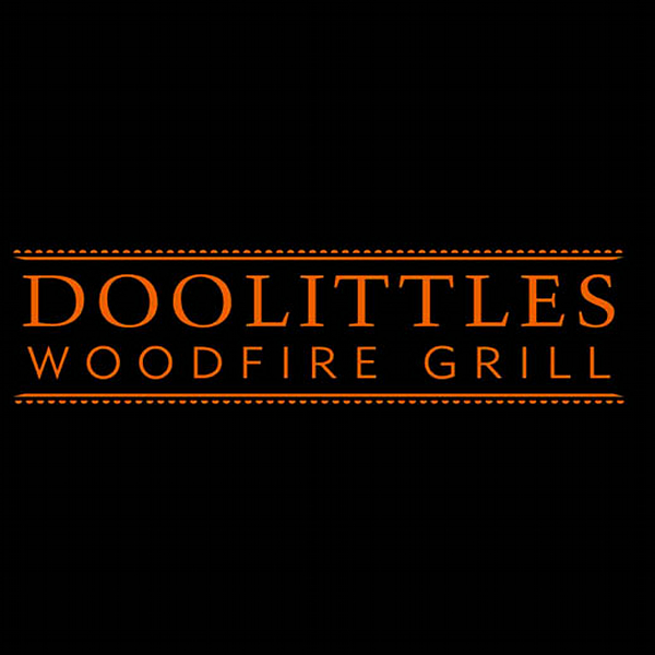 Doolittle woodfire grill sale
