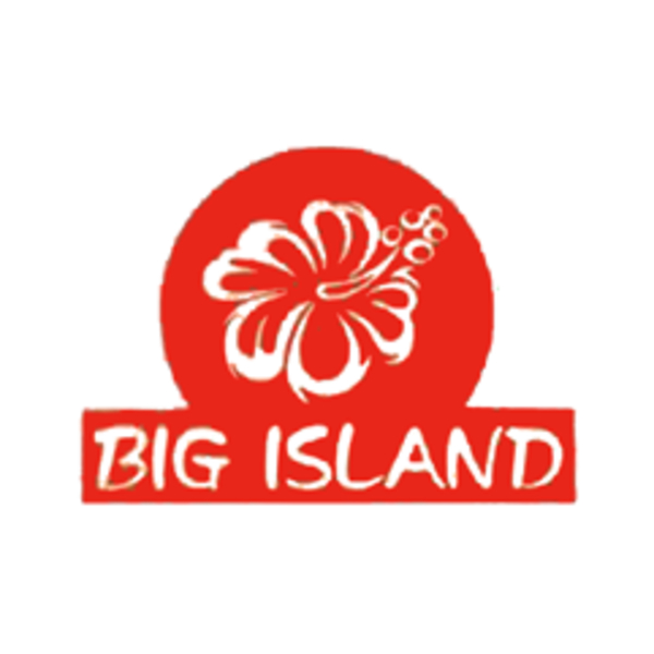 Big on sale island bbq