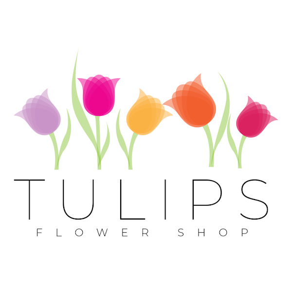 Bouvardia Flower Essence Best Flower Site