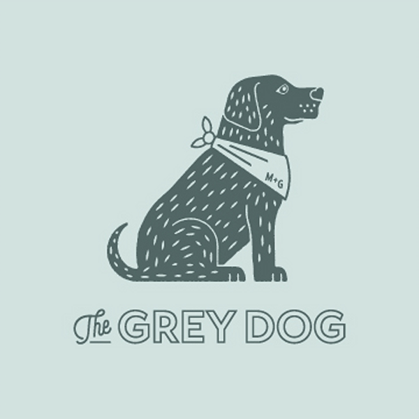 Gray store dog chelsea