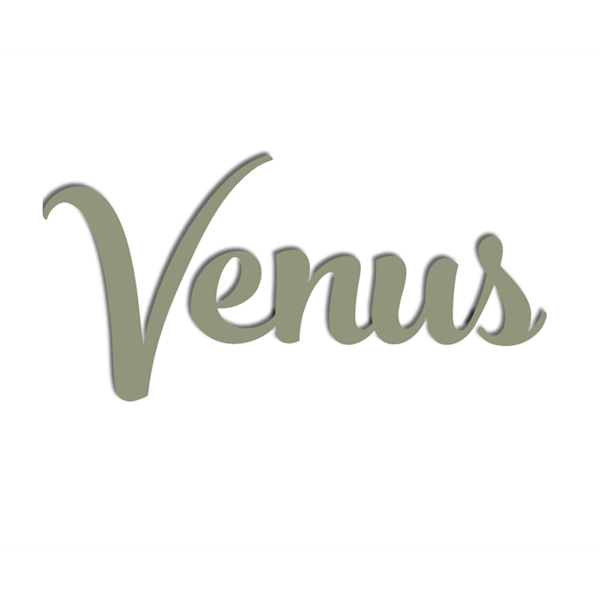 Venus Delivery Menu | Order Online | 828 Fort Salonga RdSte 25A