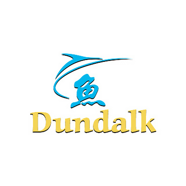 Logo Design Service Dundalk