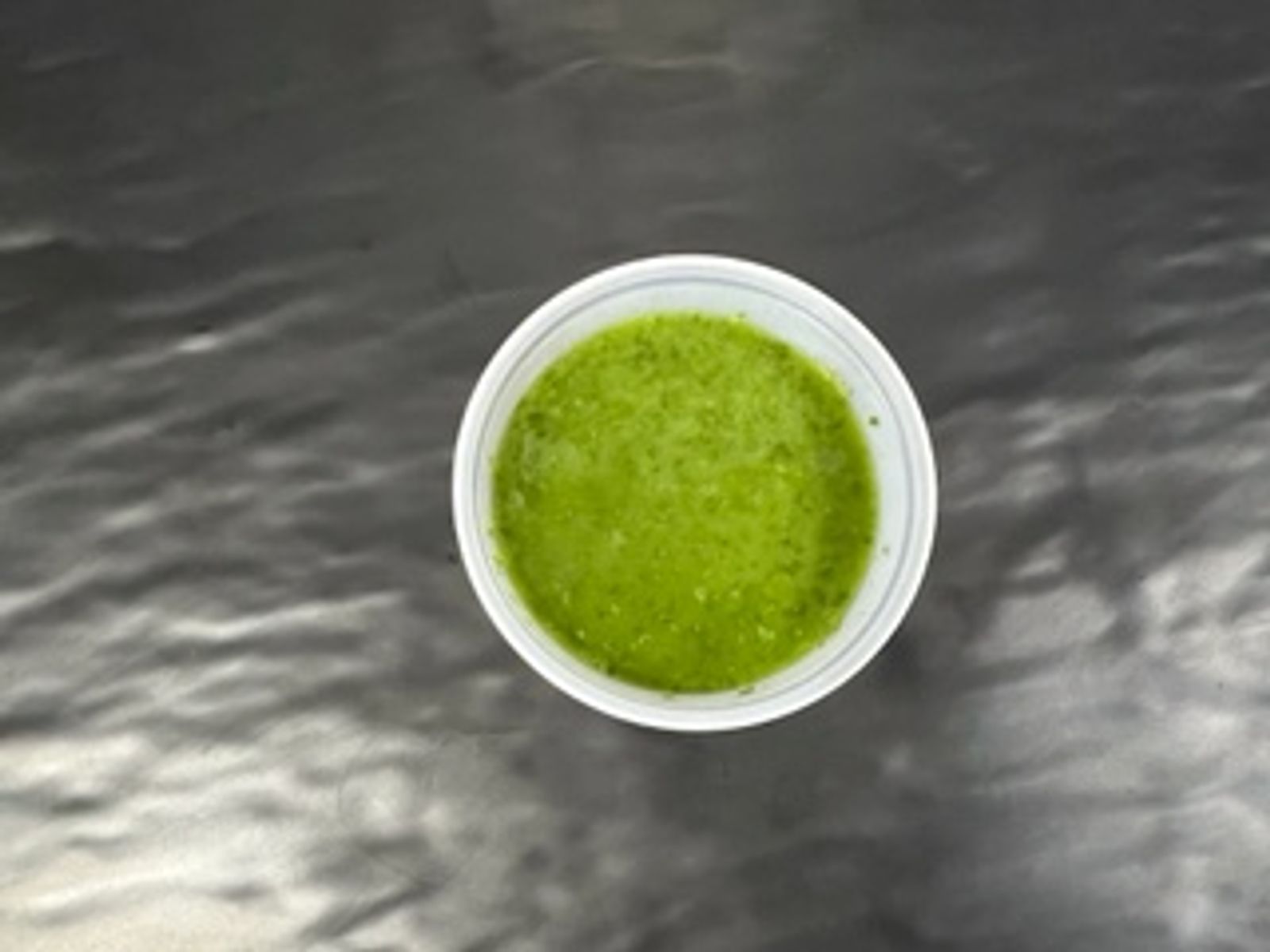 Order Green Sauce food online from Halal Munchies store, Queens on bringmethat.com