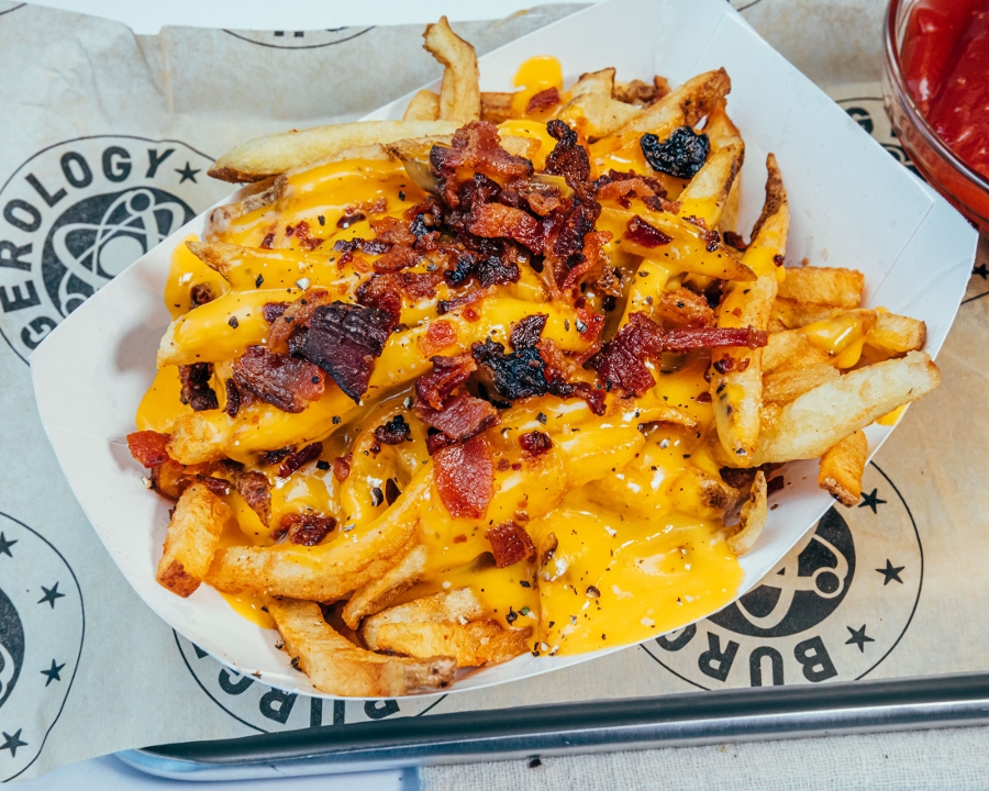 Order Loaded Fries food online from Burgerology Express store, Syosset on bringmethat.com