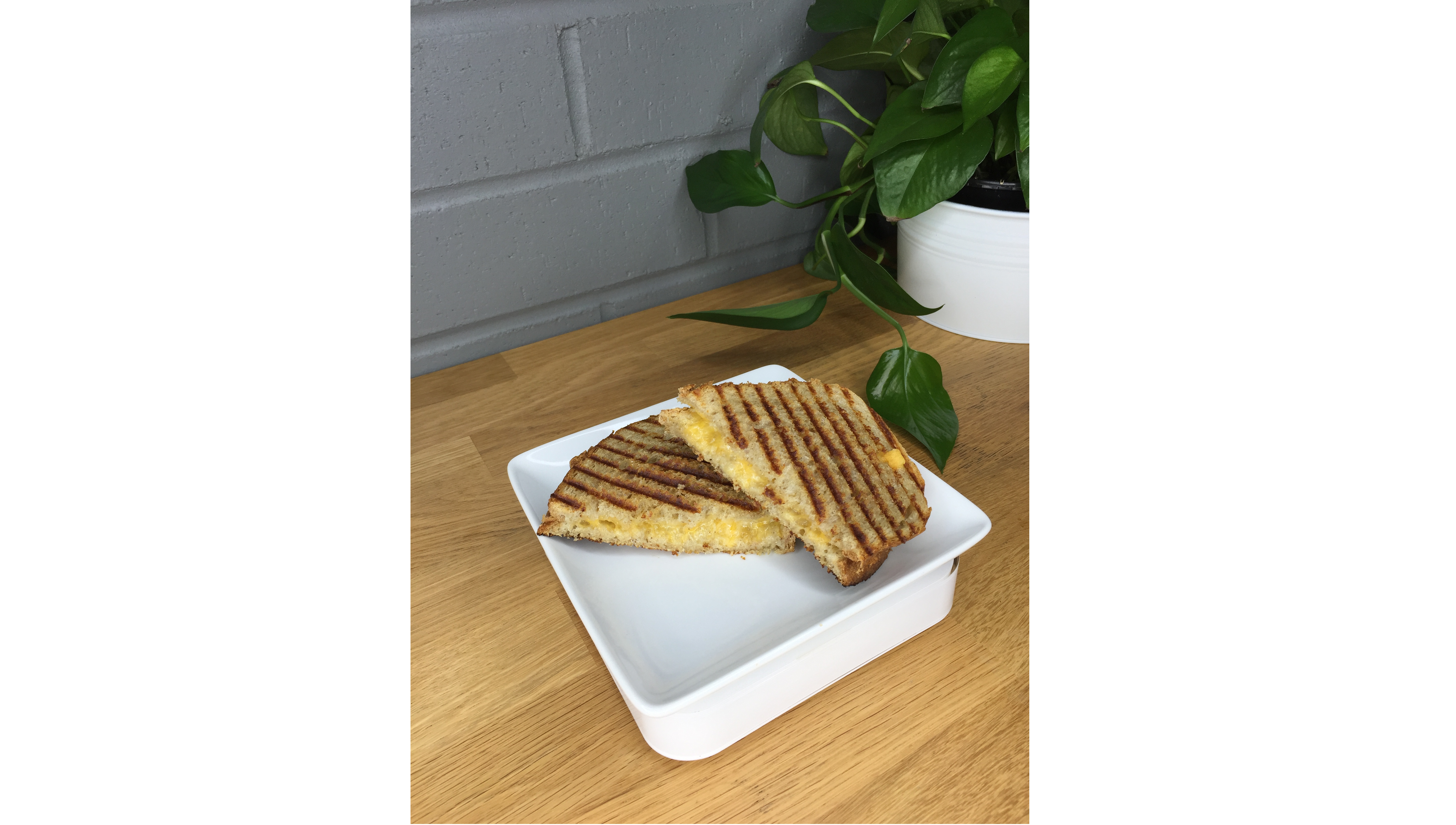 Order Grilled Cheese food online from Mountain Grounds store, Martinez on bringmethat.com