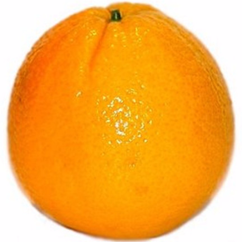 Order Orange food online from 7-Eleven store, Charlotte on bringmethat.com