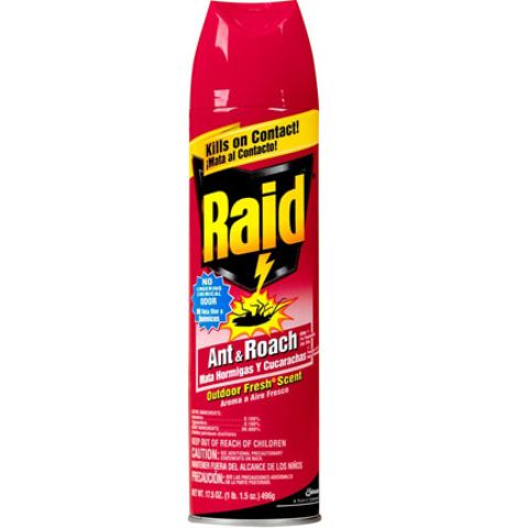 Order Raid Ant & Roach Spray 12oz food online from 7-Eleven store, Natick on bringmethat.com