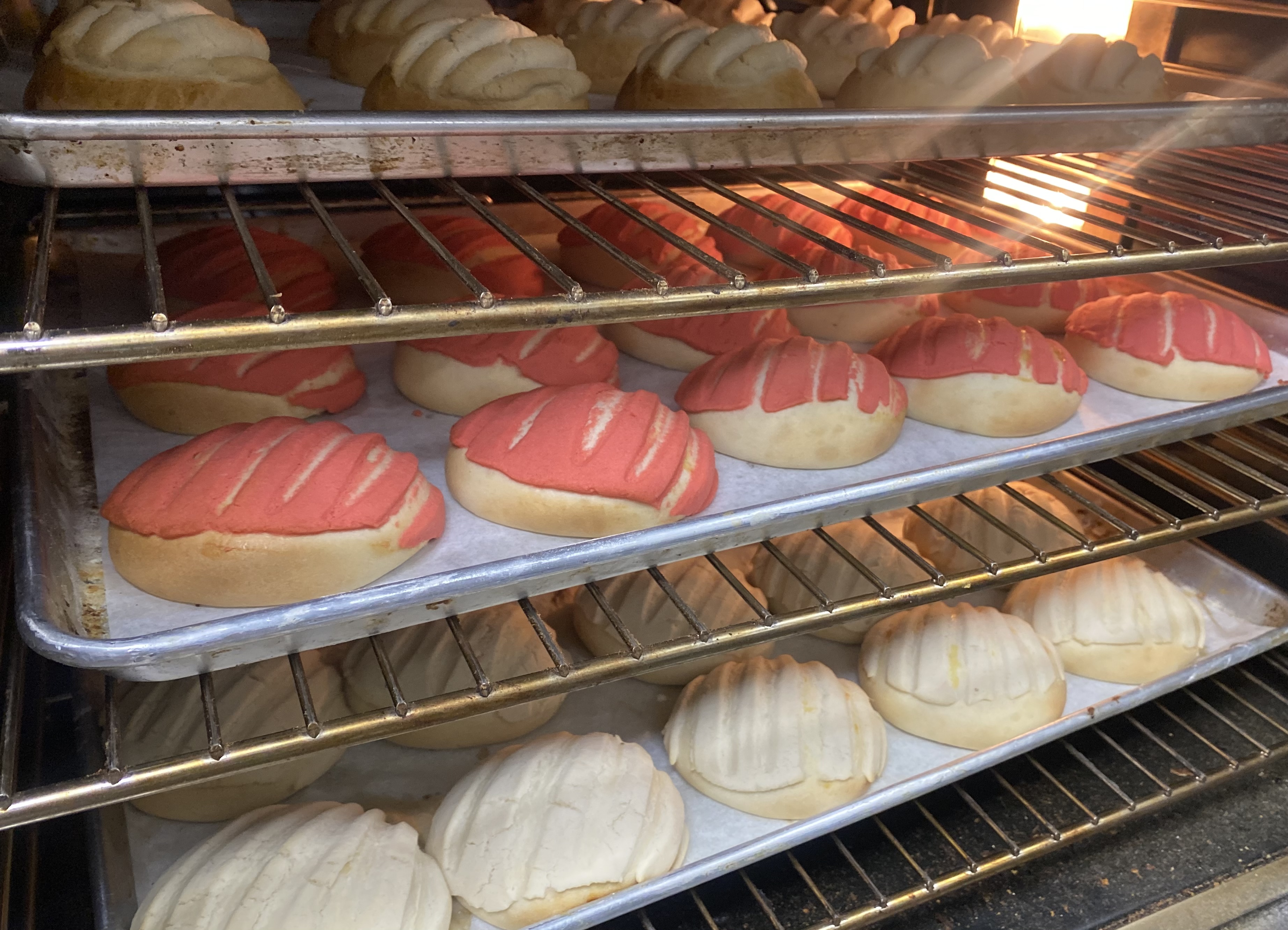 Order Conchas food online from Sabores Latinos Restaurant & Bakery Corp. store, Richmond Hill on bringmethat.com