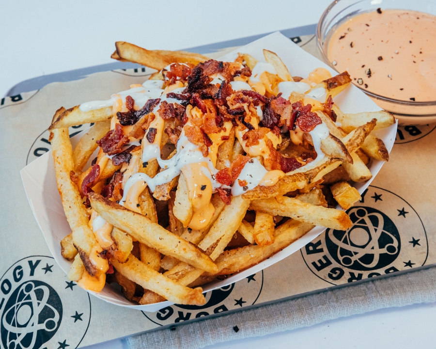 Order Chipotle Fries food online from Burgerology Express store, Syosset on bringmethat.com