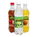 Order Jarritos food online from Rivas Mexican Grill#4 store, Henderson on bringmethat.com